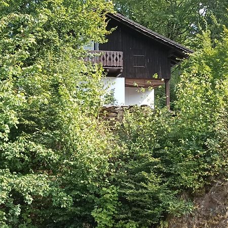 Burgberg Schoellnstein Iggensbach Экстерьер фото