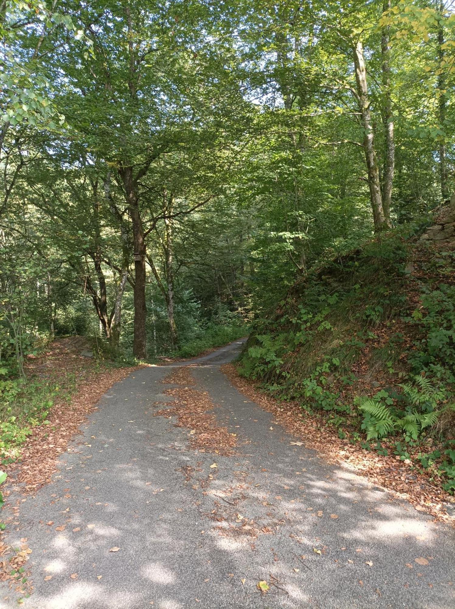 Burgberg Schoellnstein Iggensbach Экстерьер фото