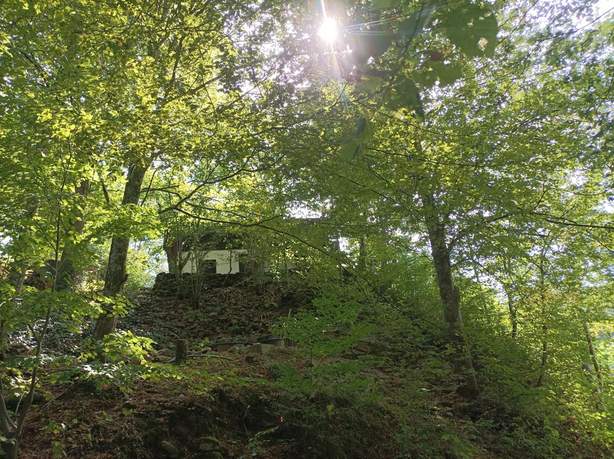 Burgberg Schoellnstein Iggensbach Экстерьер фото